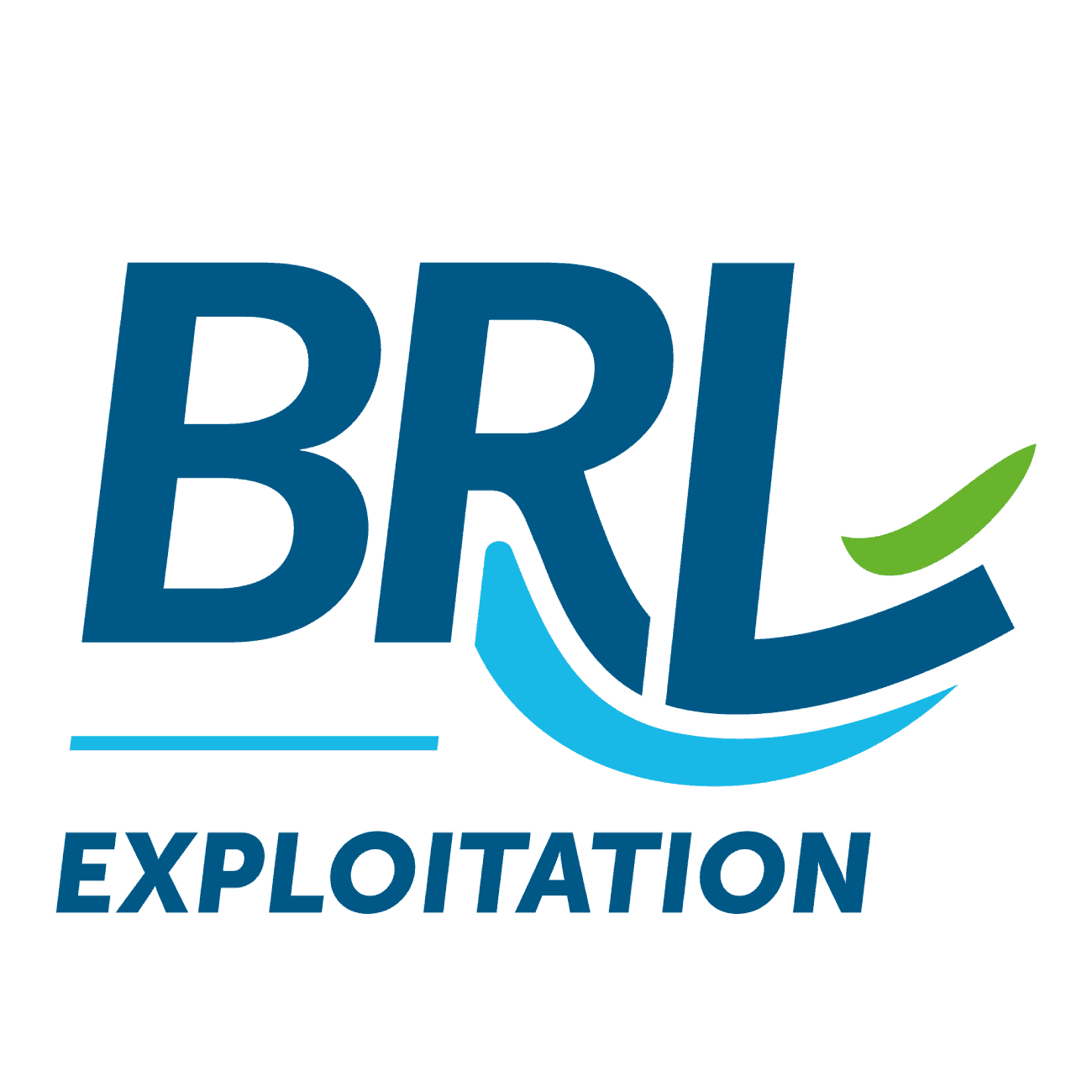 BRL Samp client story 